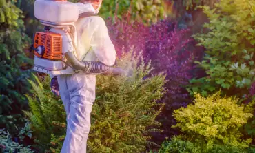 Residential Tick & Mosquito Control