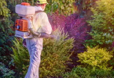 Professional Tick and Mosquito Control for Your Yard