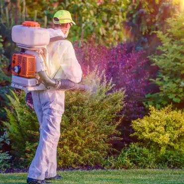 Professional Tick and Mosquito Control for Your Yard
