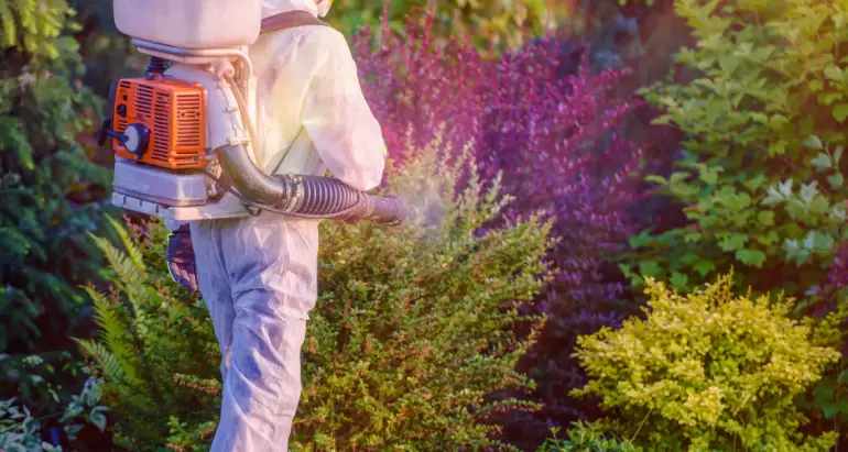 Professional Tick and Mosquito Control for Your Yard