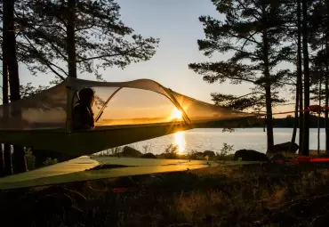 Debunking Common Myths About Tick and Mosquito Control